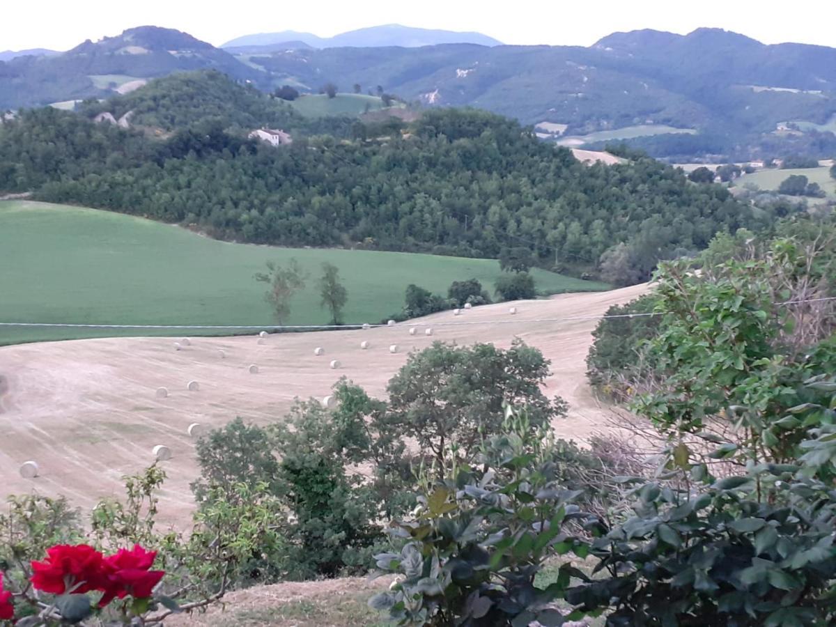 Ca' Gulino - Urbino - Villa Con Minipiscina In Borgo Antico Екстер'єр фото