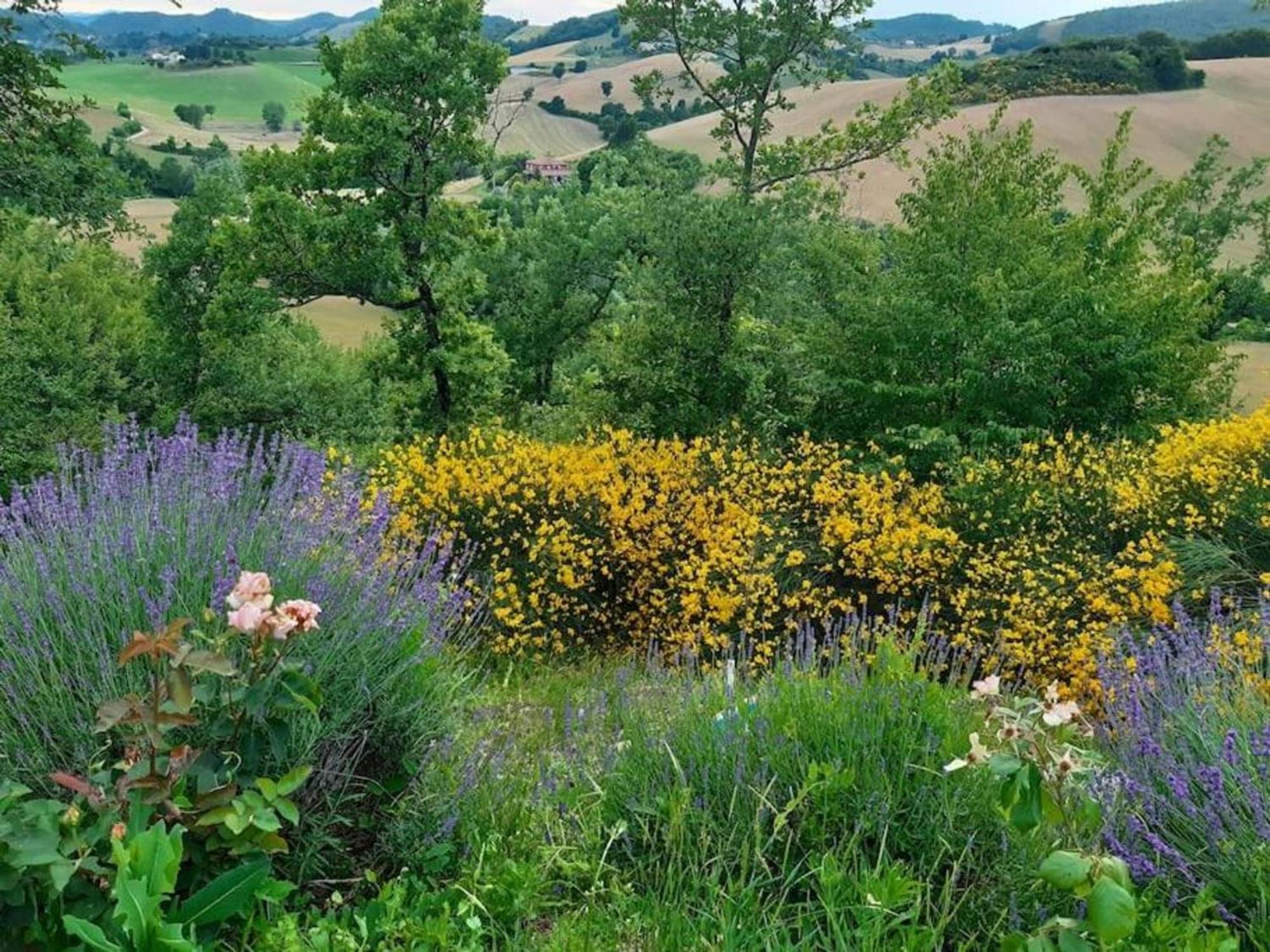 Ca' Gulino - Urbino - Villa Con Minipiscina In Borgo Antico Екстер'єр фото